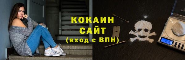 хмурый Аркадак