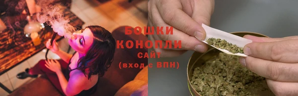 ПСИЛОЦИБИНОВЫЕ ГРИБЫ Арсеньев