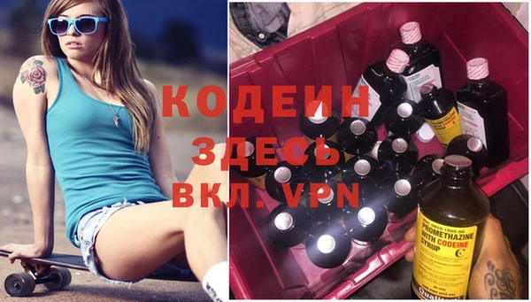 хмурый Аркадак