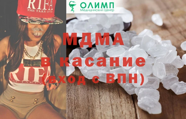 хмурый Аркадак