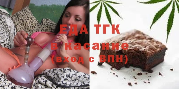 хмурый Аркадак