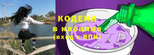 ПСИЛОЦИБИНОВЫЕ ГРИБЫ Арсеньев