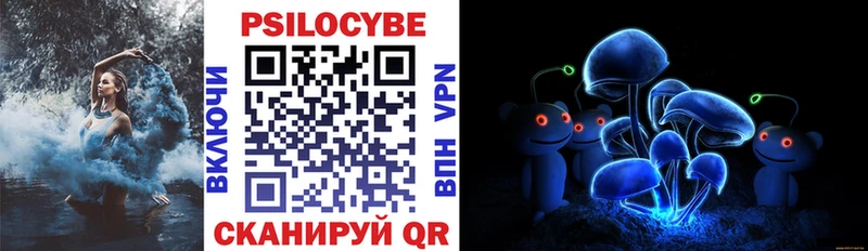 наркота  Новоульяновск  Псилоцибиновые грибы Cubensis 